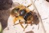277766 – Photo : Olivier Pouvreau – France (86)